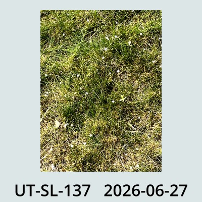 Hail Obs Photo