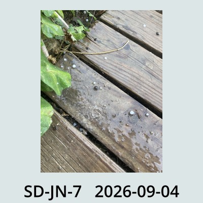 Hail Obs Photo