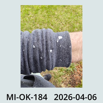 Hail Obs Photo