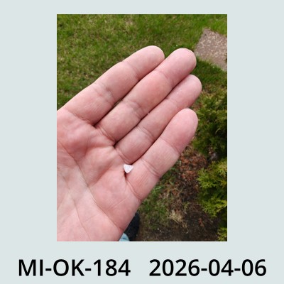 Hail Obs Photo