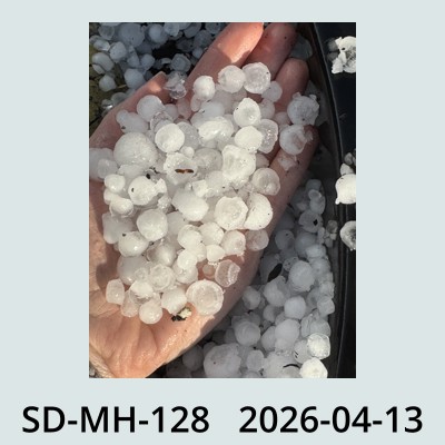 Hail Obs Photo
