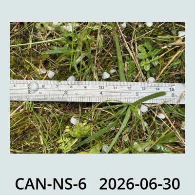Hail Obs Photo