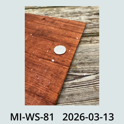 Hail Obs Photo