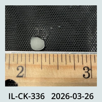Hail Obs Photo