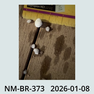 Hail Obs Photo