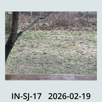 Hail Obs Photo