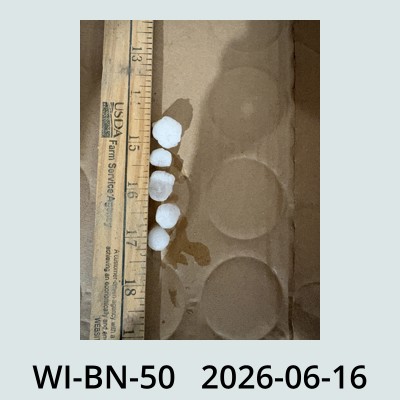 Hail Obs Photo