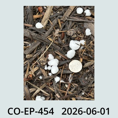 Hail Obs Photo