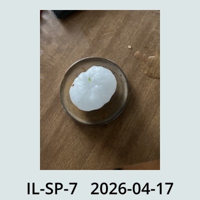 Hail Obs Photo