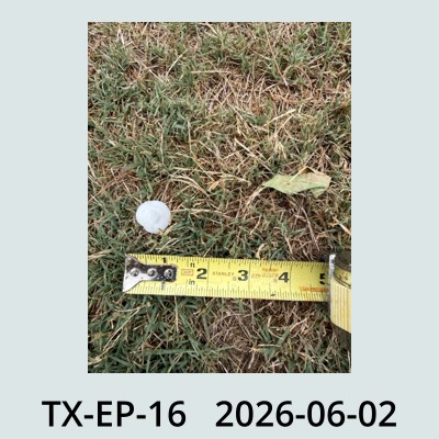 Hail Obs Photo