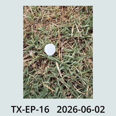 Hail Obs Photo