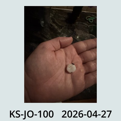 Hail Obs Photo