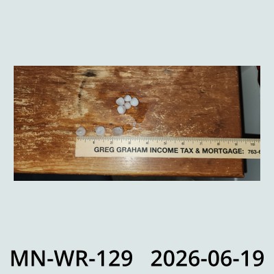 Hail Obs Photo