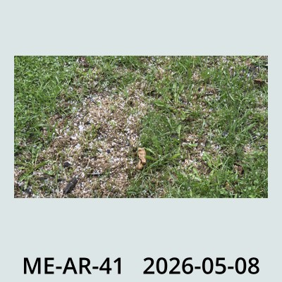 Hail Obs Photo
