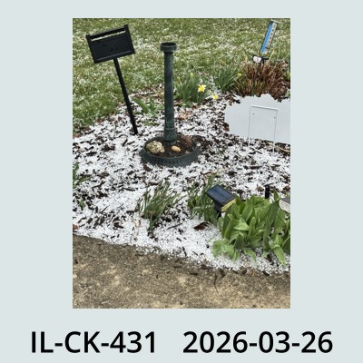 Hail Obs Photo