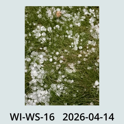 Hail Obs Photo