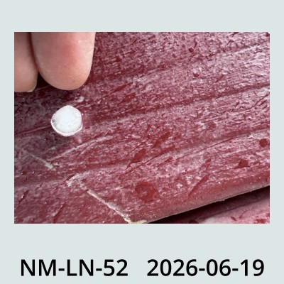 Hail Obs Photo