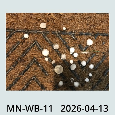 Hail Obs Photo