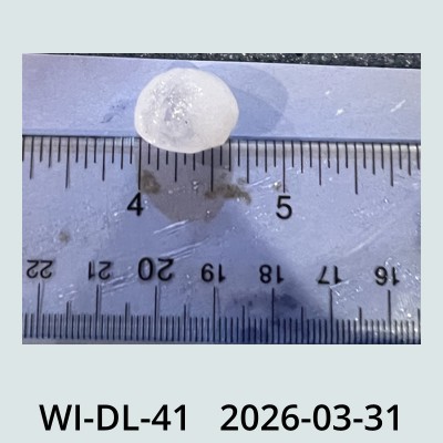 Hail Obs Photo