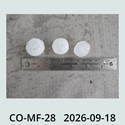 Hail Obs Photo