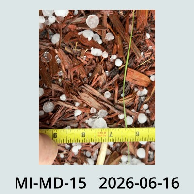Hail Obs Photo