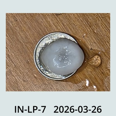 Hail Obs Photo
