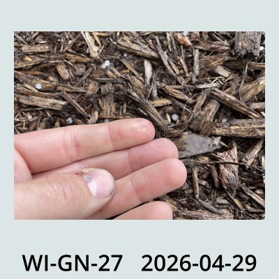 Hail Obs Photo
