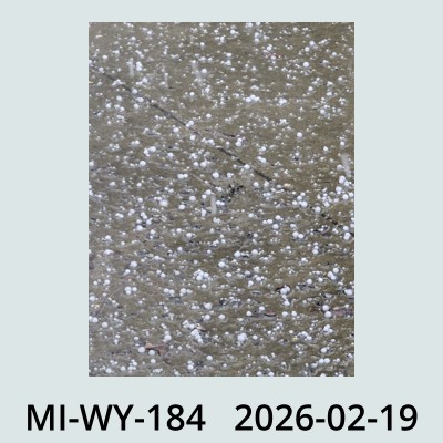 Hail Obs Photo