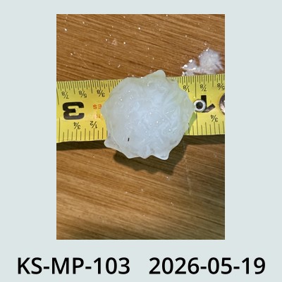 Hail Obs Photo