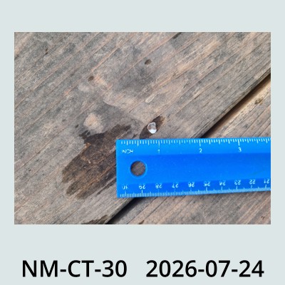 Hail Obs Photo