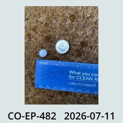 Hail Obs Photo