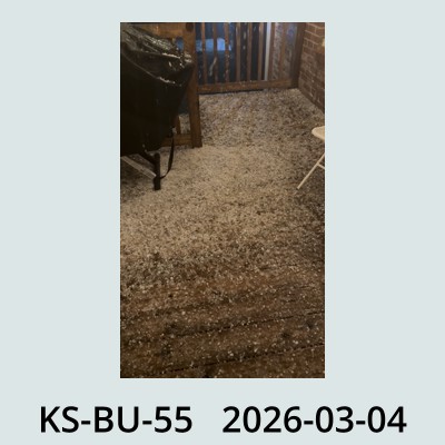 Hail Obs Photo