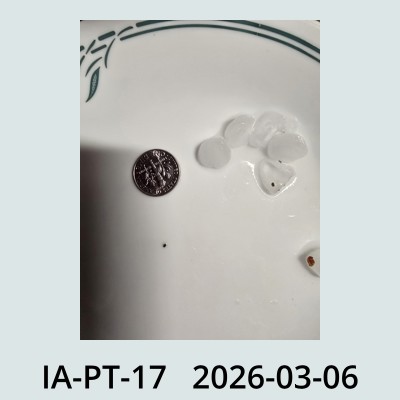 Hail Obs Photo
