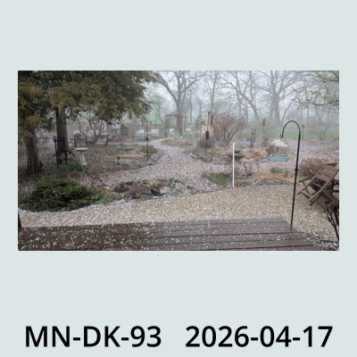 Hail Obs Photo