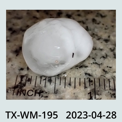 Hail Obs Photo